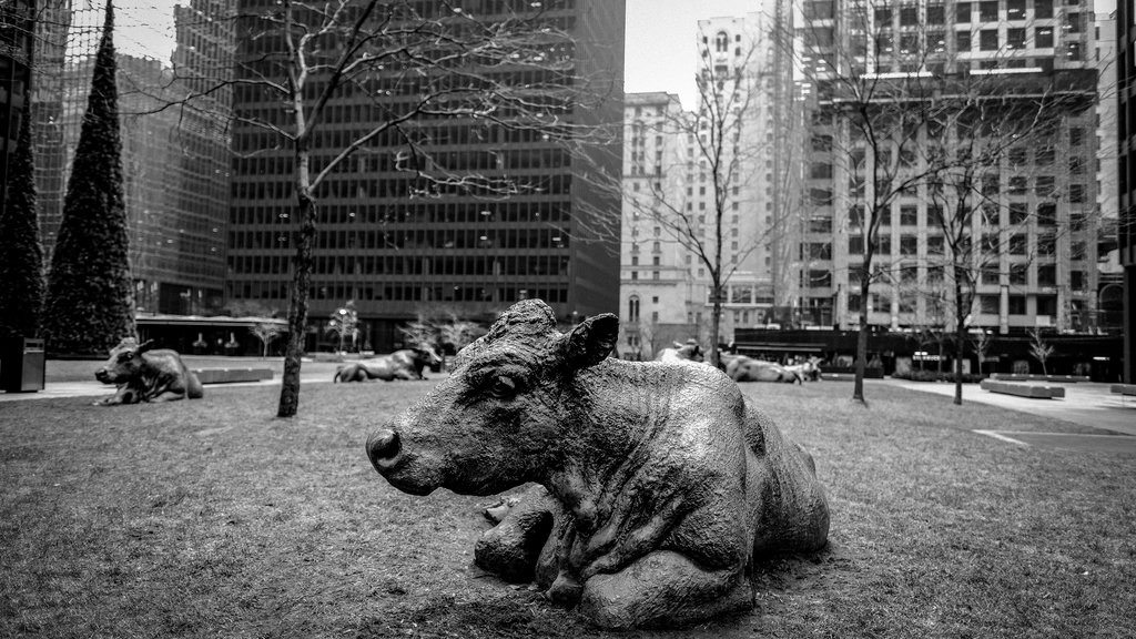 20191225Cowsay-DSCF03196240_x_3512