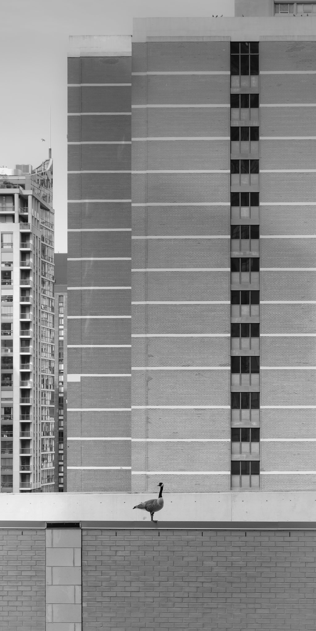 20200512Nature_is_healing-DSCF05873512_x_6240