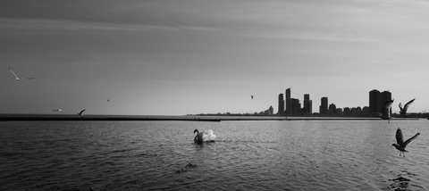 Sethi-Amanjeev_Searching_for_partner